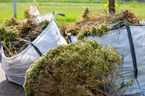 Best Construction Debris Removal  in Crainvle, IL